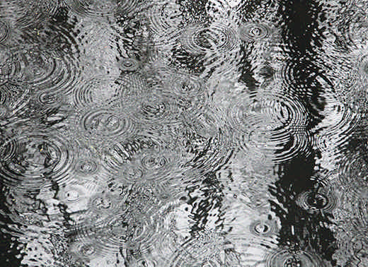 Petricor: El olor de la lluvia