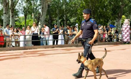 El Día del Niño congrega a cientos de familias en una jornada de juegos, talleres y exhibiciones