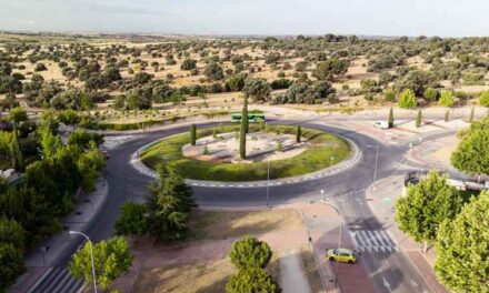 Finaliza la renovación paisajística de la glorieta entre Condesa de Chinchón y Pedro de Valdivia