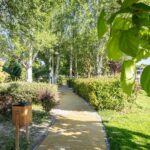 Boadilla reforzó sus zonas verdes en 2025 con 1360 nuevos árboles, más de 6700 arbustos y 42.000 flores