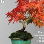 El Aula de Educación Ambiental de Pozuelo estrena su nuevo programa de otoño el próximo 26 de septiembre