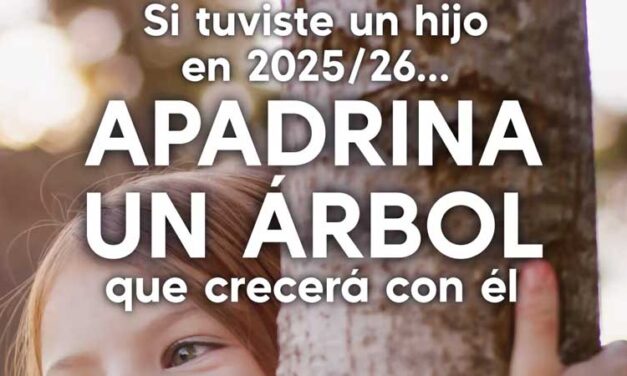 Pozuelo convoca una nueva edición de ‘Apadrina un árbol’ para familias con niños nacidos en 2025 y 2026